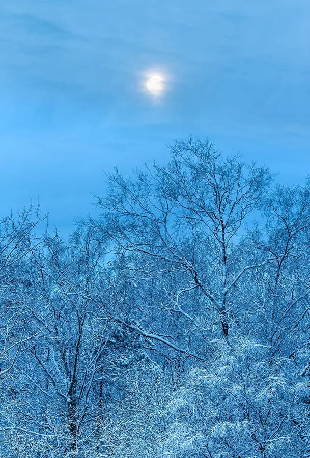 neige
