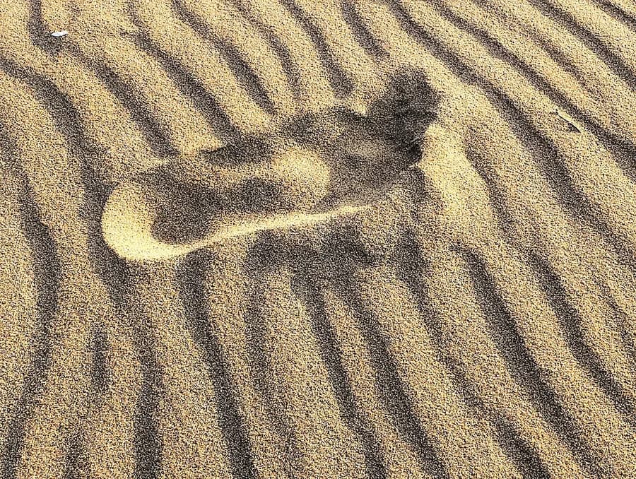 sable