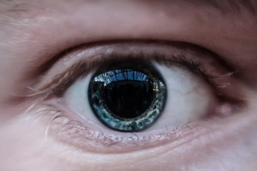 yeux